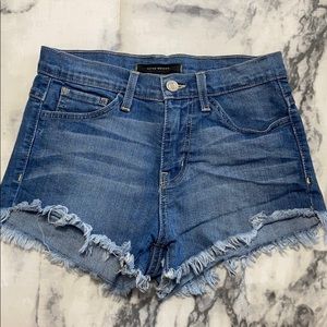 Flying Monkey High Waisted Shorts